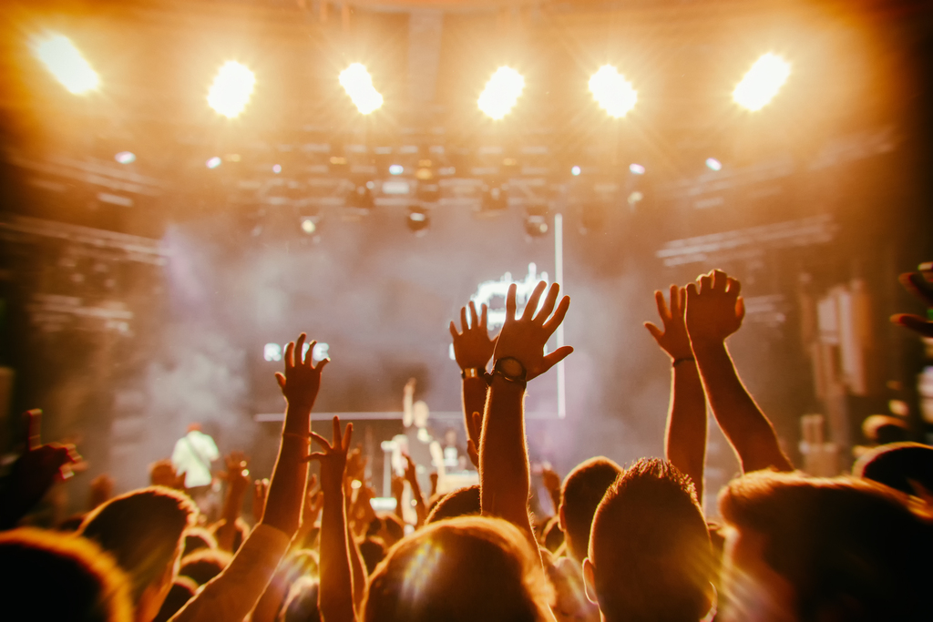 Cheering crowd in front of bright stage lights - Black Car Services - Black Car Services