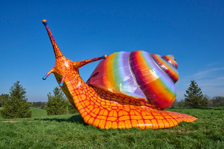 Spectra_Snail_ - Chicago Black Car Service Colorful Snail Art creativity